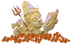 Gauri Shankar Puja For Rudraksh